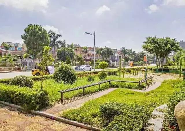 农业服务创业商机,现在农业创业好项目好做吗