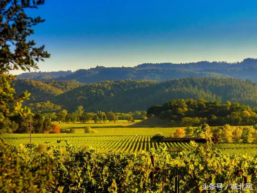 世界顶级的十大私人酒庄价格,世界最大的酒庄值多少钱