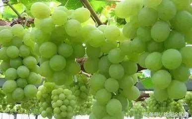 沈阳周边乡村旅游景点推荐,沈阳周边小众山水