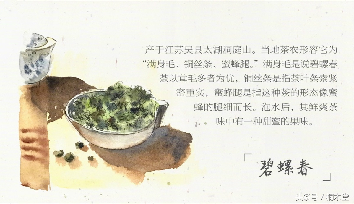 一张图读懂各种茶具,一张品茶实用图