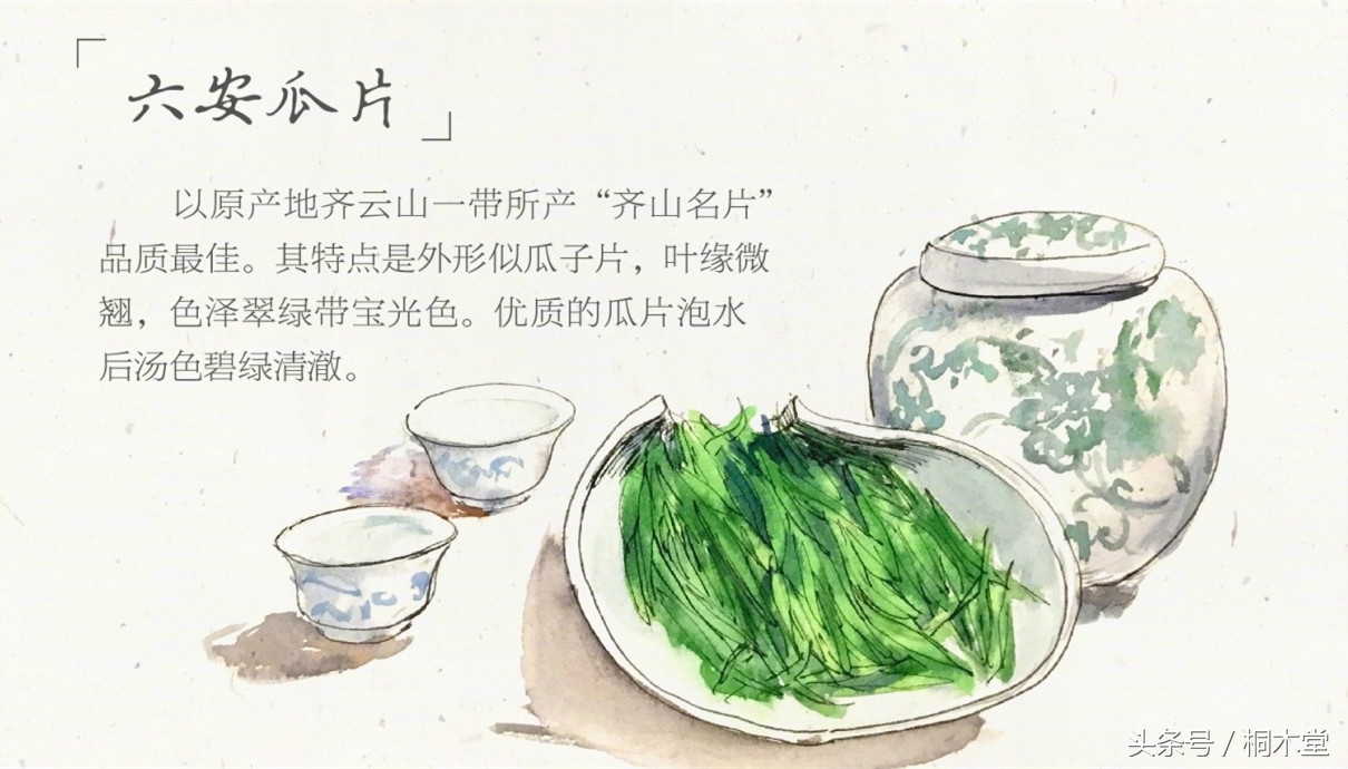 一张图读懂各种茶具,一张品茶实用图