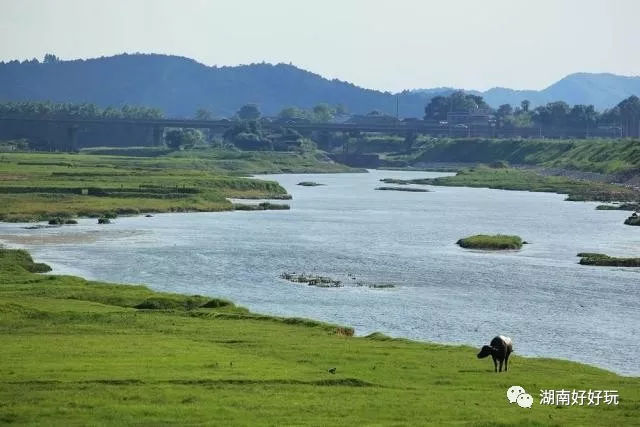 长沙地铁4号线时刻表,长沙地铁已开通4条共多少公里