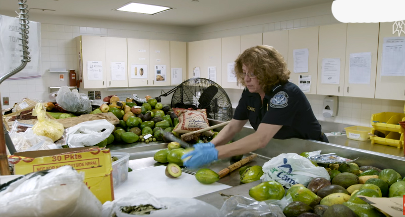 国外东西被海关扣了怎么办,国外进口零食被海关查获