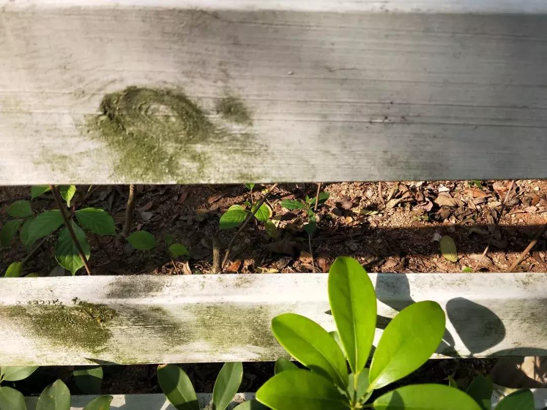 你看待世界的方式决定了你自己,你如何看待世界取决于你的心态