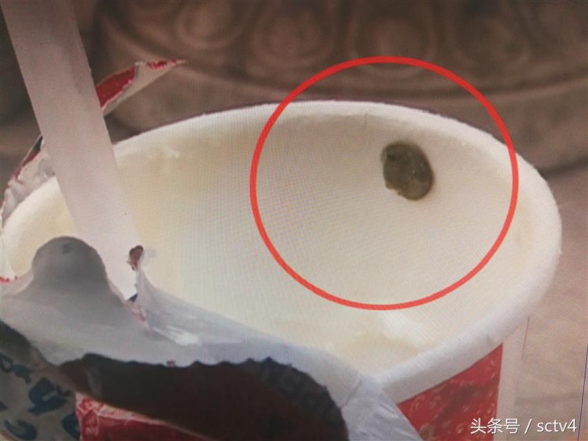 酸奶有绿霉,酸奶上的绿霉是什么