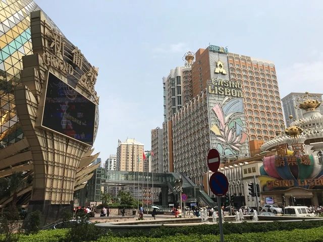 澳门哪里有玩斗牛的场,澳门街斗牛哪里好