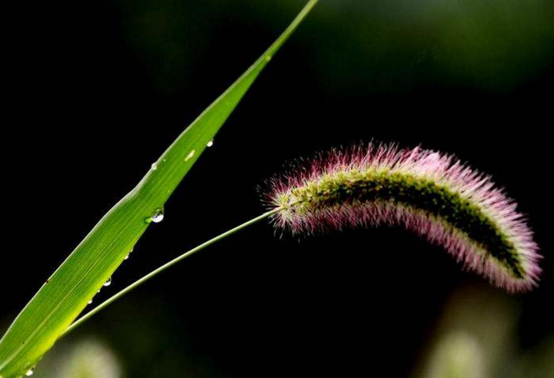 长得丑的励志句子,长得丑的句子经典语录