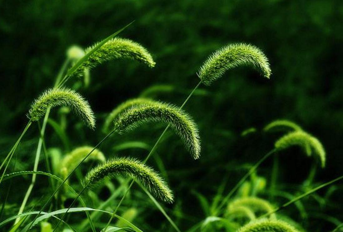 长得丑的励志句子,长得丑的句子经典语录