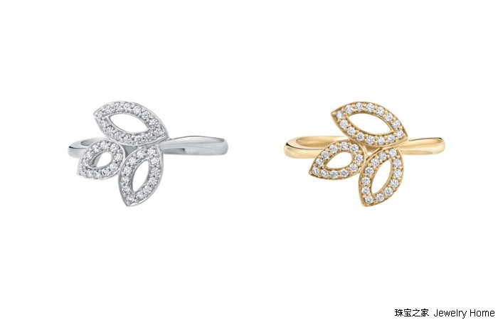 花草丛中，最爱的还是那朵LilyCluster