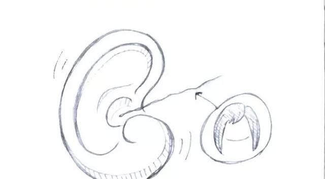 三个月宝宝洗澡耳朵进水要不要紧,给宝宝洗澡怎么避免水进入耳朵