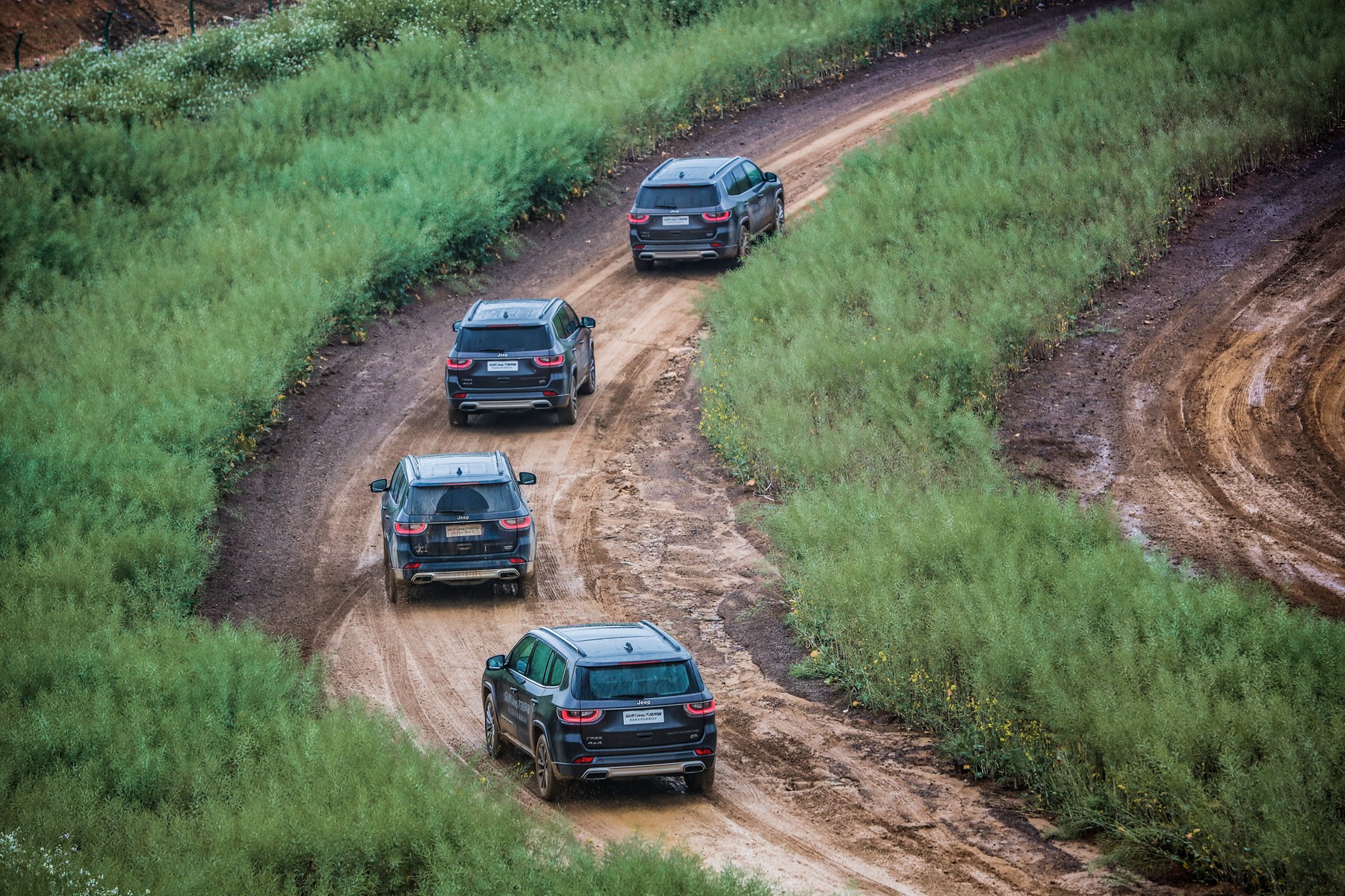 澶ф寚鎸ュ畼涓冨骇娣卞害瑙ｆ瀽,娣卞害瑙ｆ瀽鍏ㄦ柊澶ф寚鎸ュ畼