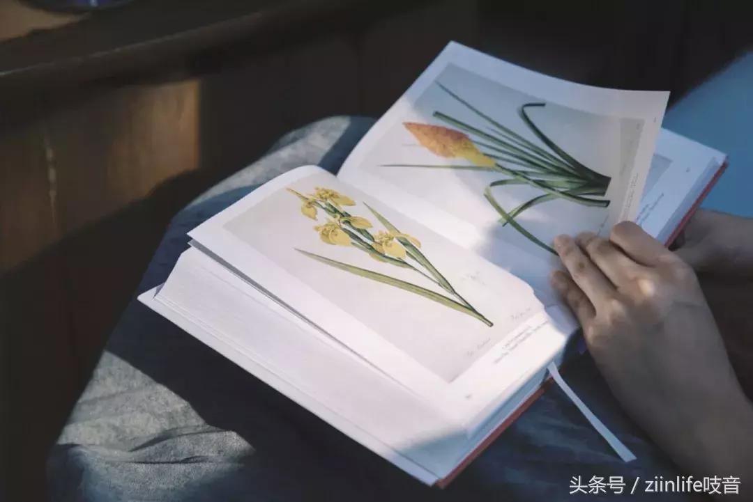 吱音种草|GoodTimesBedTimes，如何一直睡在春天里？