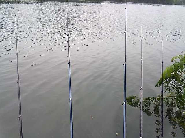 钓到野生甲鱼有什么预兆,钓到一只野生甲鱼视频