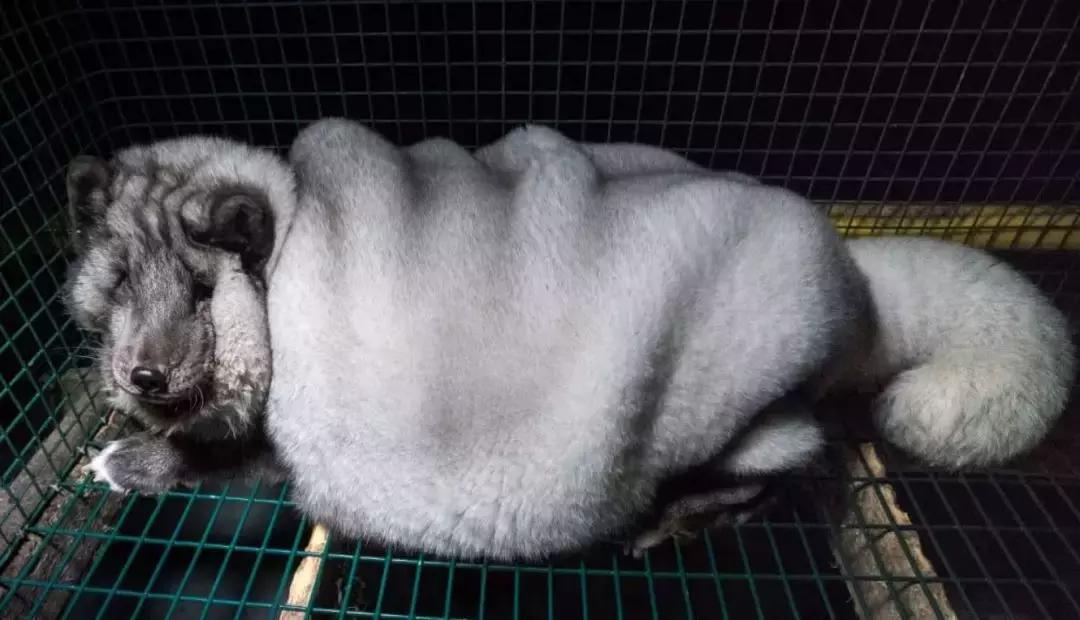 快读英国｜剑桥大学博士残忍*暴强**两女，只为实现*力暴**幻想