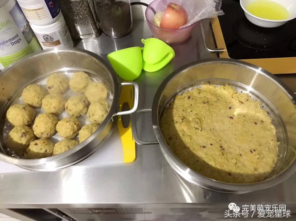 如何自制幼犬去泪痕狗粮视频教程,怎么给狗自制狗粮器