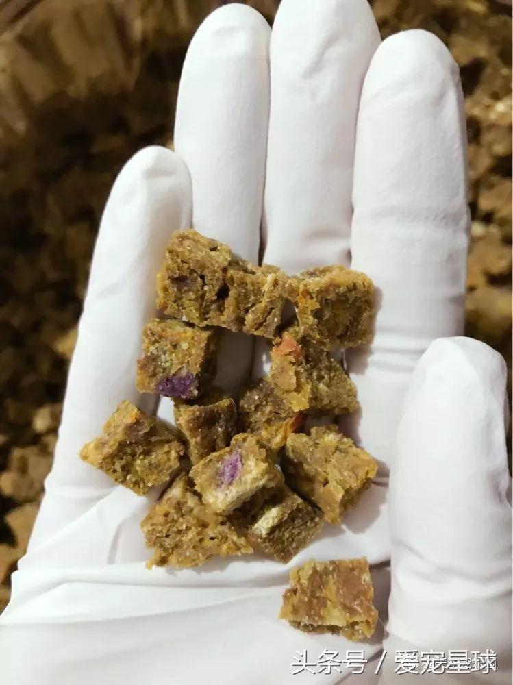 幼犬狗粮自制狗粮教程,怎么给狗自制狗粮器