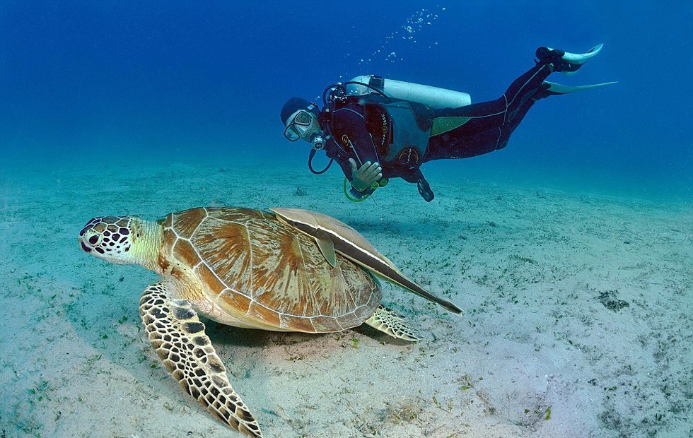 全球十大最美岛屿,揭秘地球最深海洋