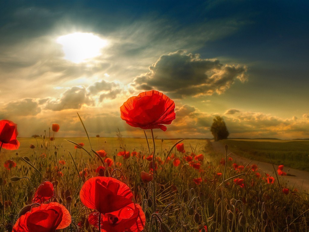 彼此都有家庭却深爱着对方怎么办,彼此都有家庭但还是爱上了