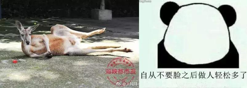 「三分钟法治新闻全知道」凄惨出访!非洲“友邦”仅剩俩,其中一国还让蔡英文吃了闭门羹……