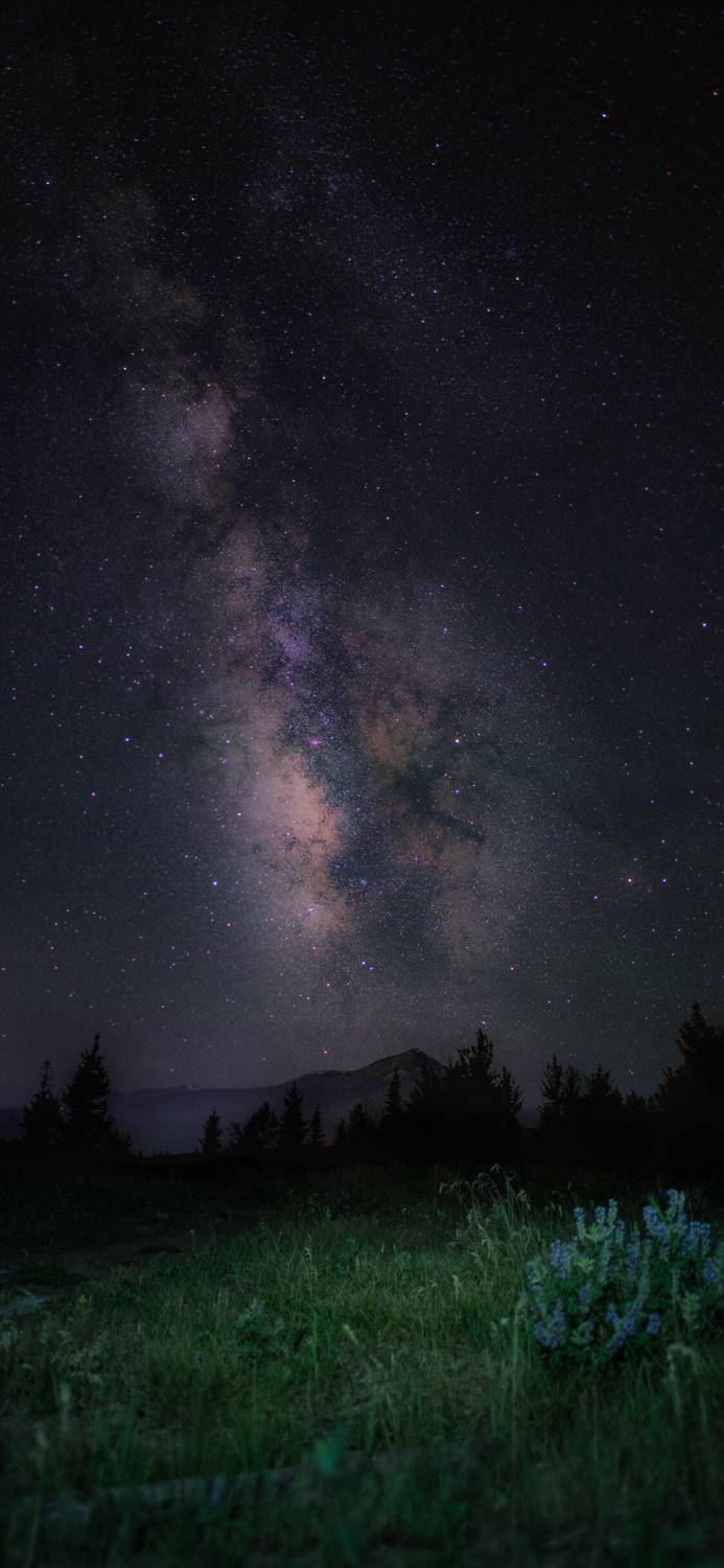 苹果x海滩官方壁纸,苹果x壁纸百事可乐