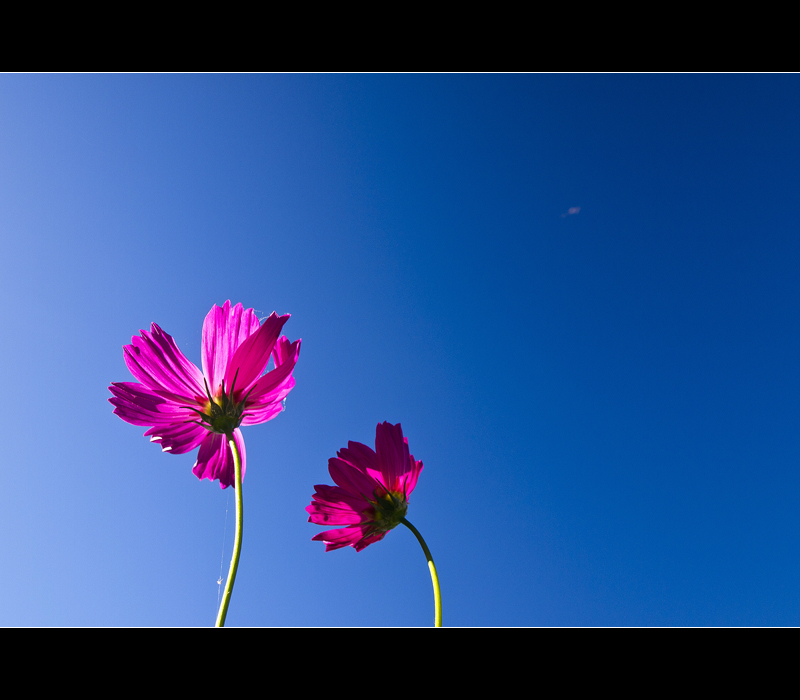 色彩的对比与和谐,色彩存在的对比关系