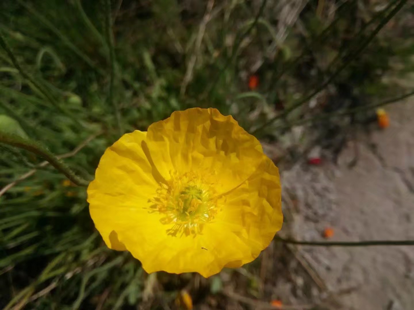 自驾车赤峰到通辽多远,骑行内蒙古331国道