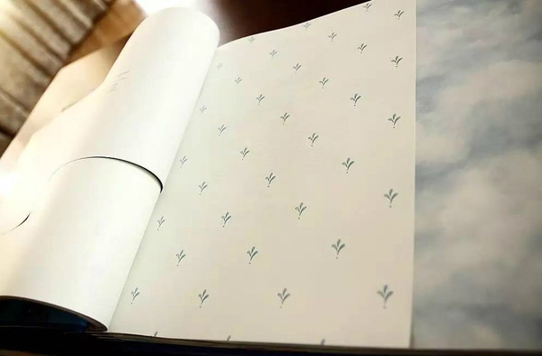 明明有着成为一代“网红”的潜力，却莫名的为劣质胶水“背锅”？