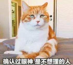 王子抖音神曲,抖音神曲大揭秘