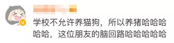 民生｜“小猪佩奇”出事了！大学生寝室养猪被通报，学校：快送走！