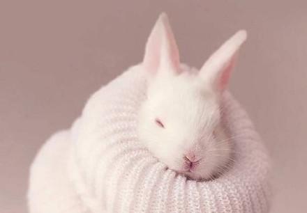 可爱又可恨的动画角色,最可恨的人变成最可爱的人