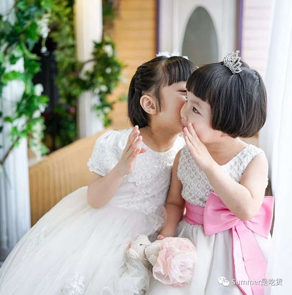 寻燕日记之关于燕窝的一些见解(二)