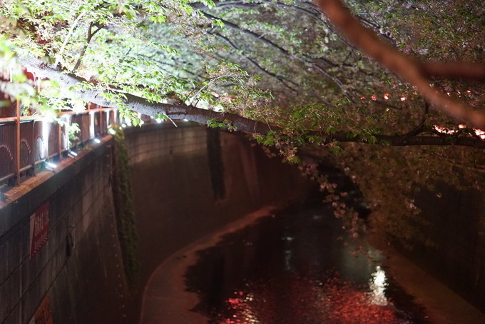 妯辫姳瀛ｅ幓鏃ユ湰涓滀含鏃呮父,涓滀含涓ゅぉ鏆磋蛋涔嬫梾