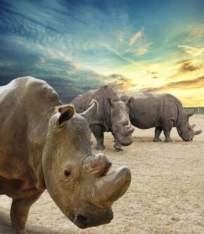 纽约公共艺术作品指南，在不经意间遇上艺术