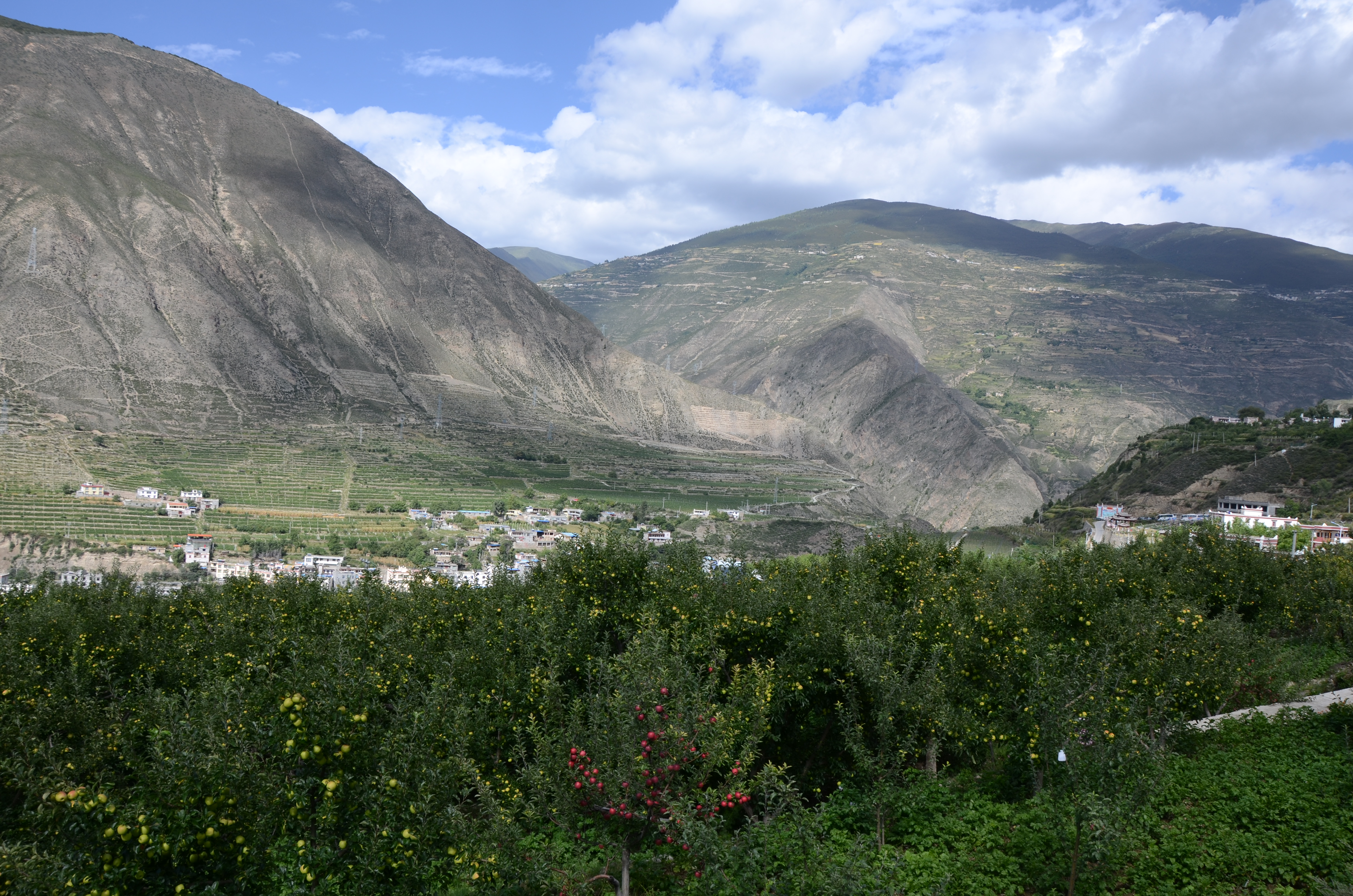 特色农产品扶贫店宣传视频,乡村振兴电商扶贫典型案例