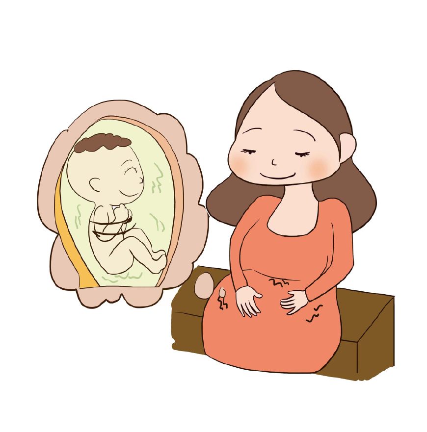 4个月胎儿的胎动是怎样的,四种胎动的最佳时间