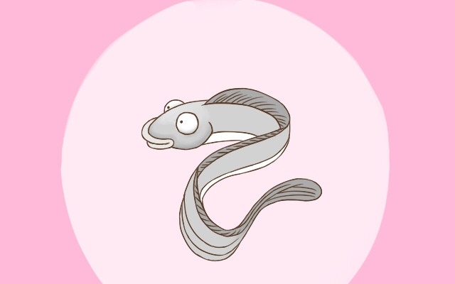 孕妇多吃海产品对胎儿有影响吗,孕妈们对饮食一定要多加注意