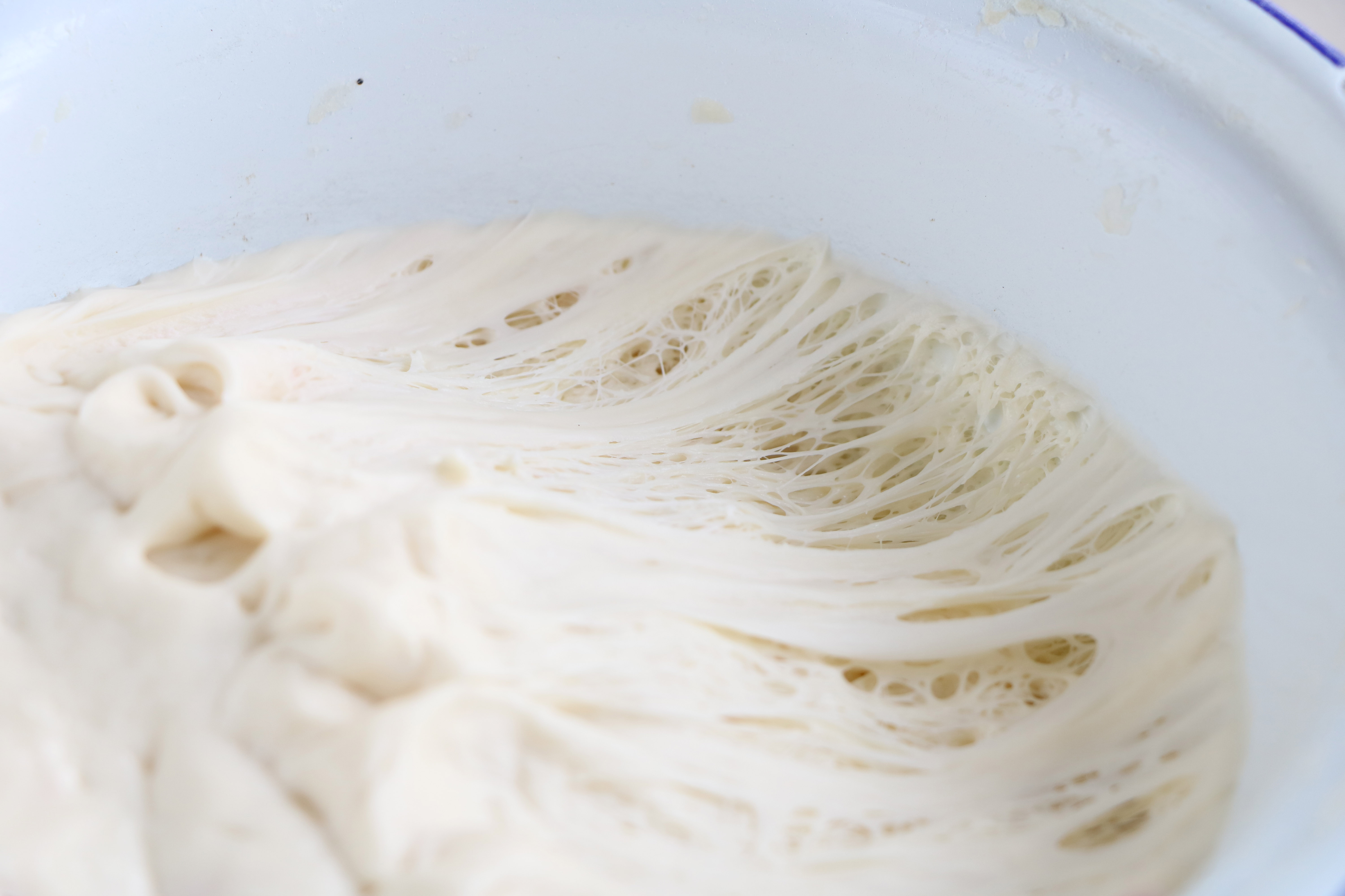 老面馒头教程全过程商用,老面馒头免费教程