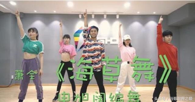 抖音最近最火的摇摆舞是什么舞,抖音最初的海草舞