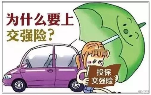 新车保险买几种险,全险坑人吗