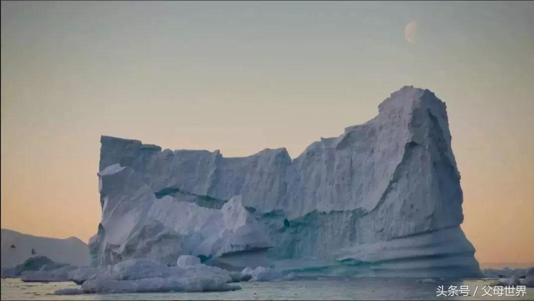 世界地球日，最适合孩子看的18部自然纪录片，趁周末，带娃看起来