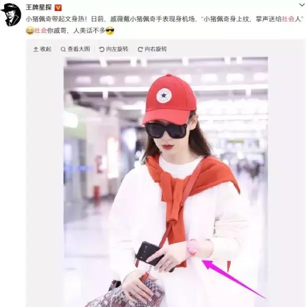 小猪佩奇赚钱视频,小猪佩奇赚了多少钱