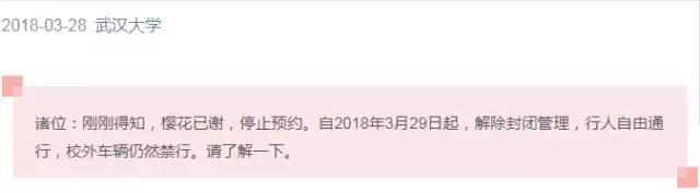 四月飘雪缘是樱，蓝调庄园晚樱盛景正当时！