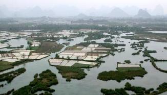 广西南宁钓鱼钓点,广西最新钓鱼技巧