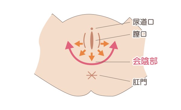 孕妇侧切后应该怎么照顾,侧切对孕妇身体有什么影响