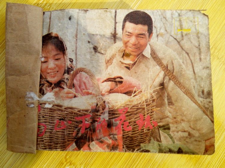 收藏的乐趣在哪里,收藏的乐趣优秀作文