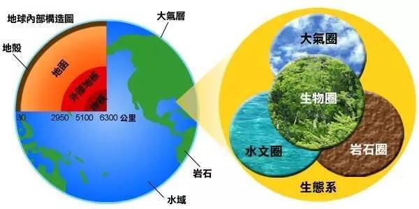 初中生物知识点总结北师大版,初中生物知识点总结及实验图