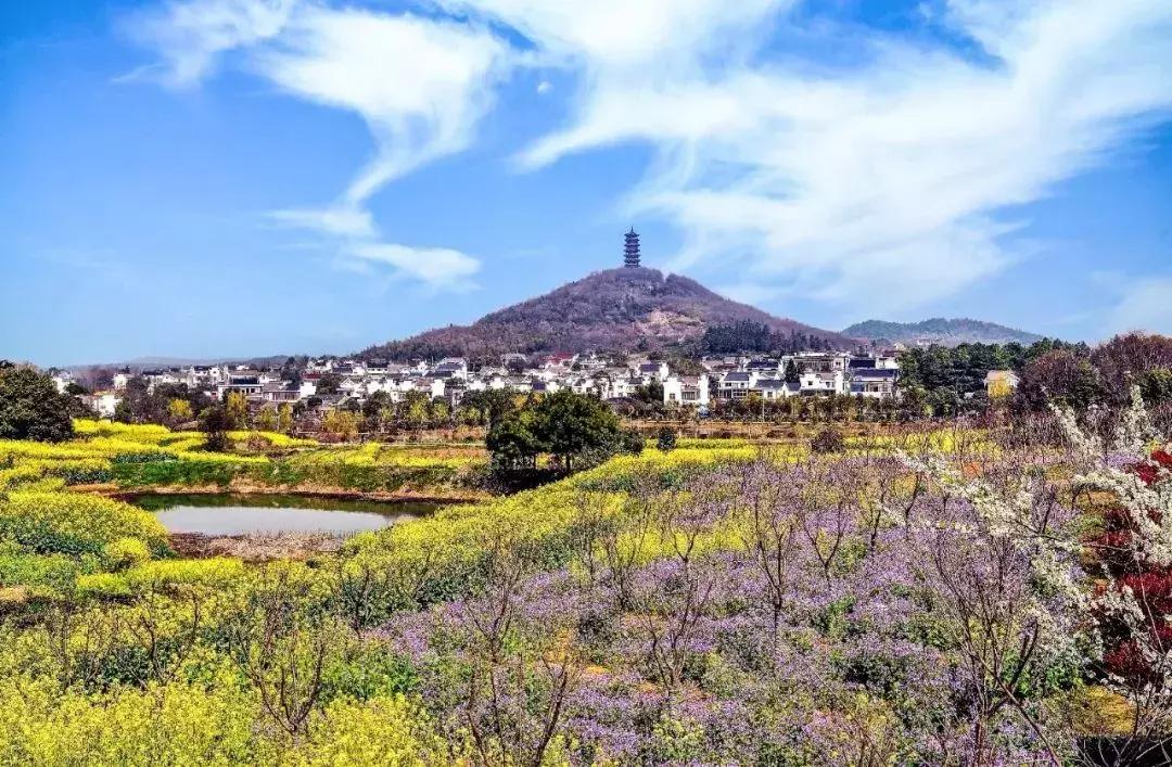 浜斾竴浜插瓙鍑烘父濂藉幓澶勫懆杈规父,杩戞湡鏈夊嚭娓歌鍒掑悧