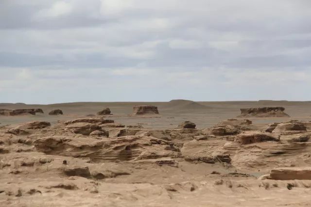 陶冶重庆,陶冶重庆演唱会