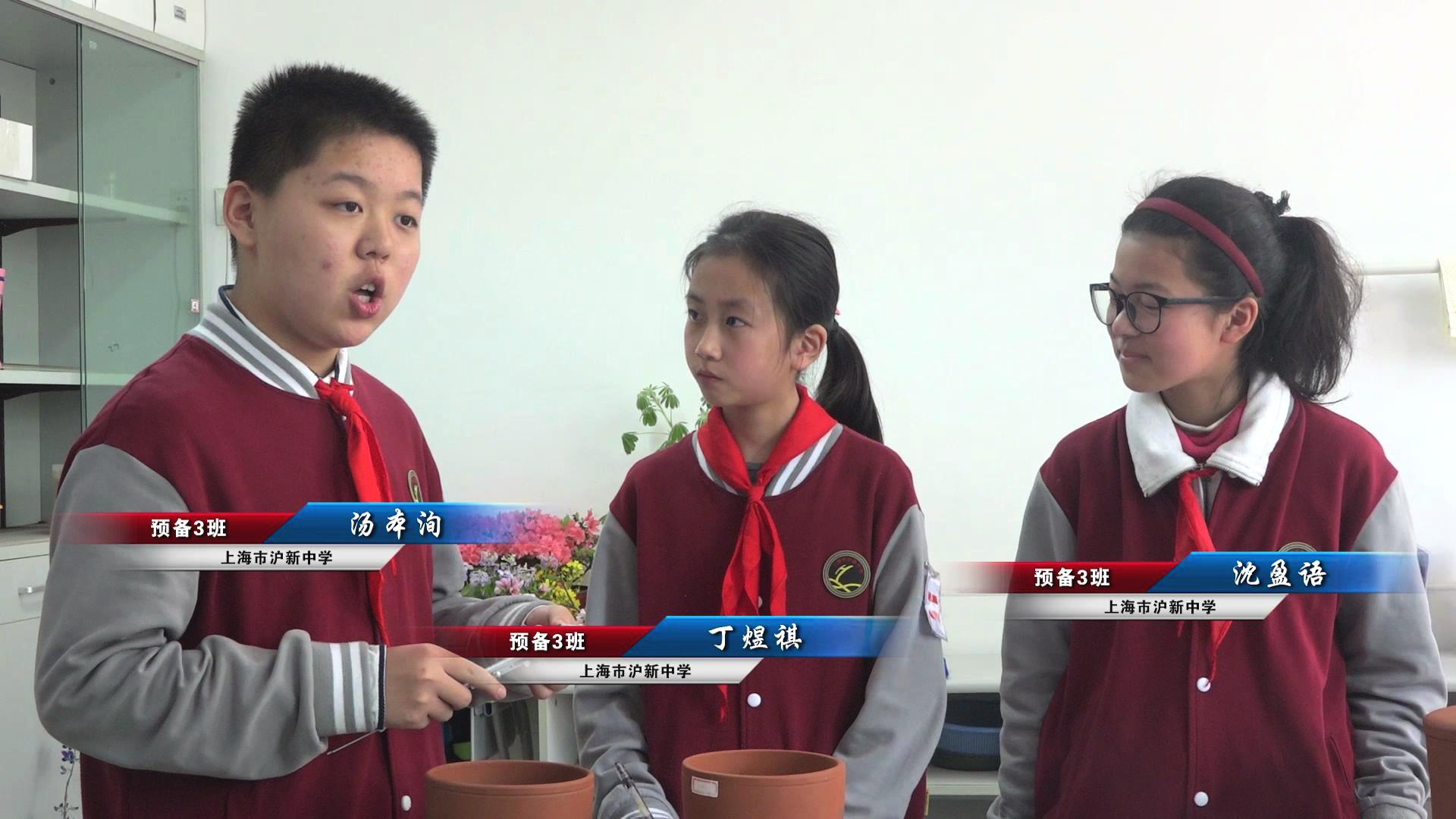 上海市新闻广播,上海市新闻播报