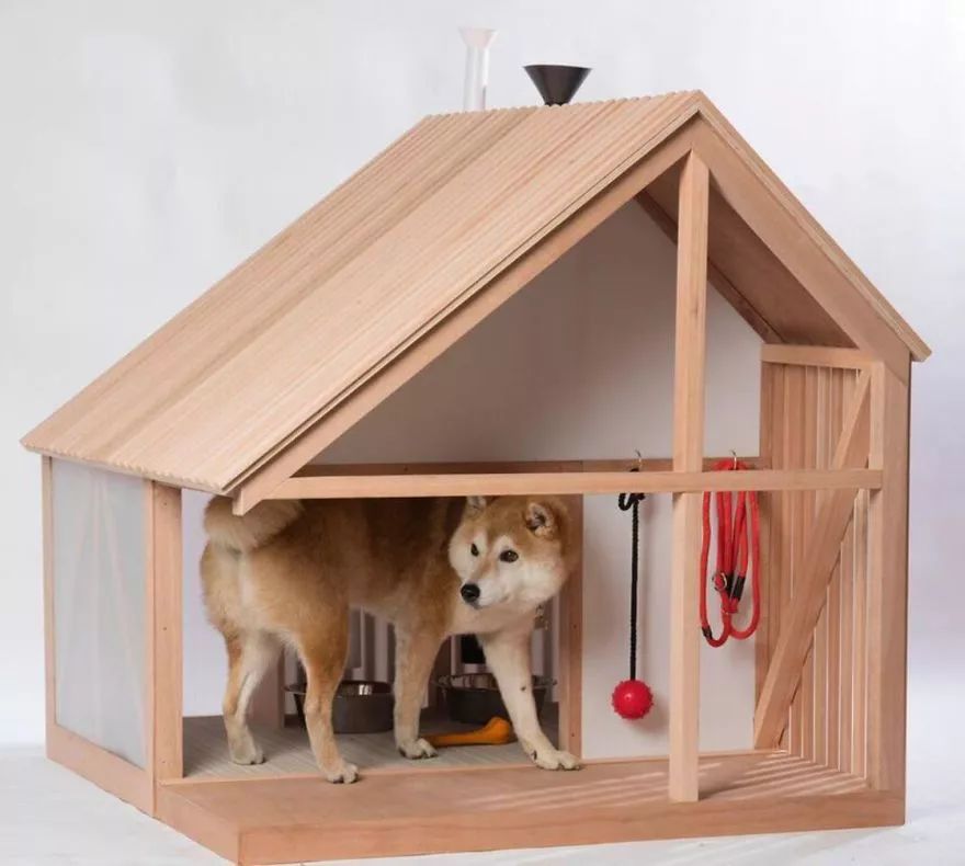 看了这几张狗窝图，真的体会到了活得不如汪